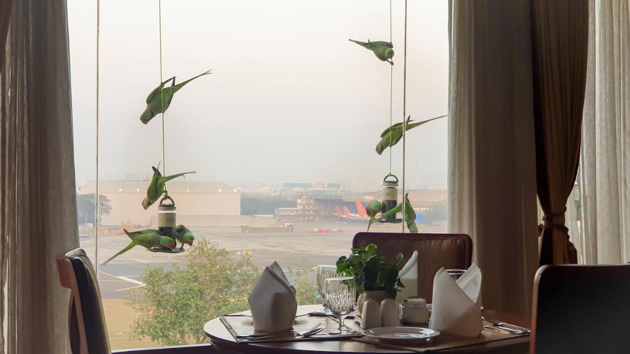 The Orchid Hotel Mumbai Vile Parle Eksteriør billede Parrots at the airport